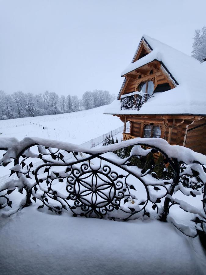 Goralska Chatka 2 Highland Cottage - Split Ac, Jacuzzi, Sauna, Private Parking, Mountains View, Garden, ザコパネ エクステリア 写真