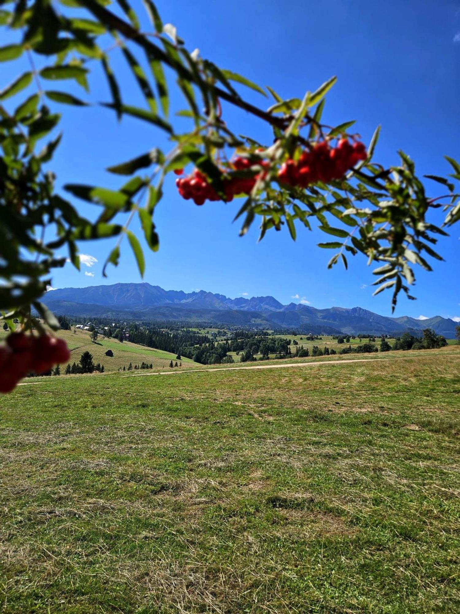Goralska Chatka 2 Highland Cottage - Split Ac, Jacuzzi, Sauna, Private Parking, Mountains View, Garden, ザコパネ エクステリア 写真
