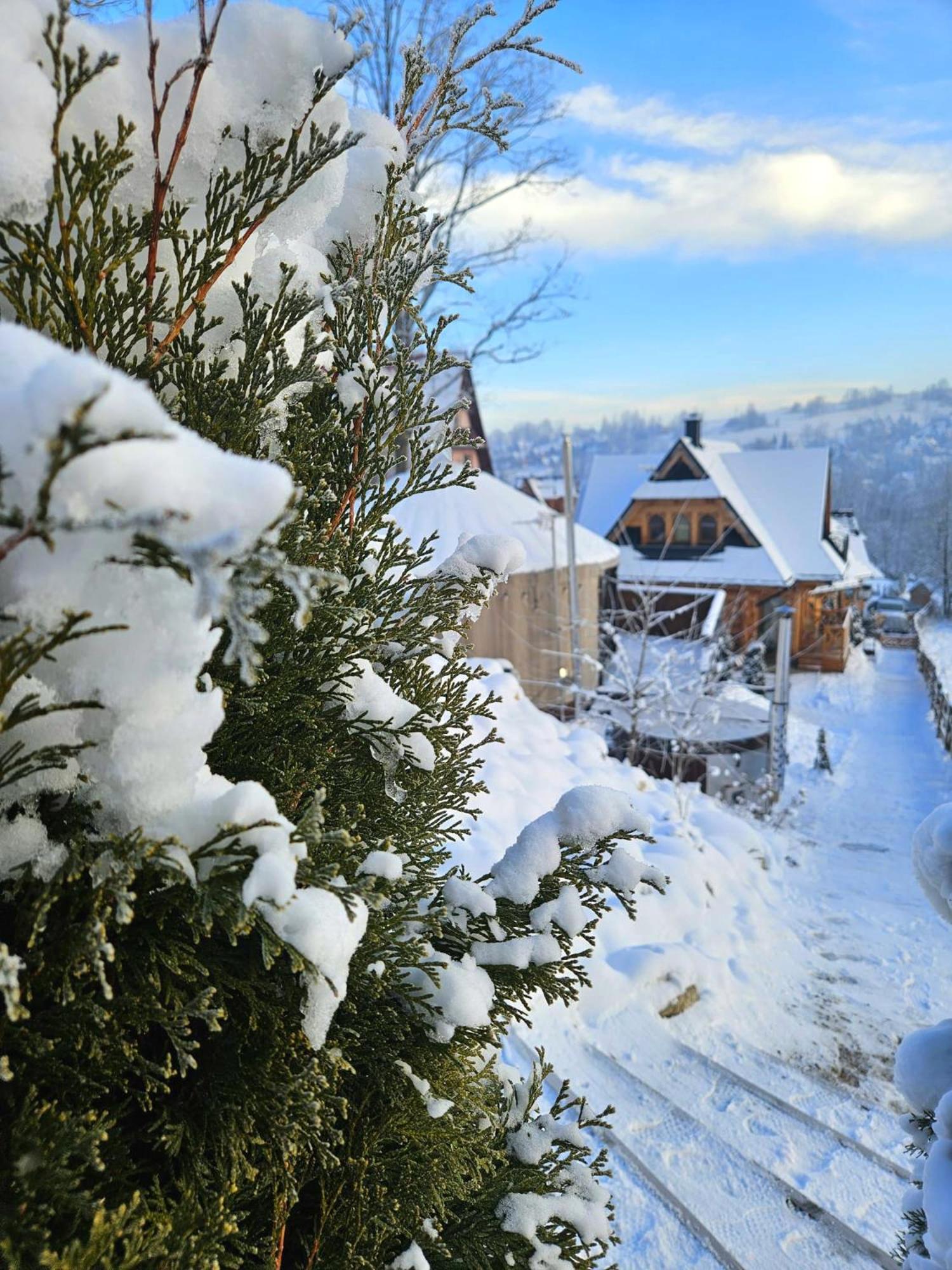 Goralska Chatka 2 Highland Cottage - Split Ac, Jacuzzi, Sauna, Private Parking, Mountains View, Garden, ザコパネ エクステリア 写真